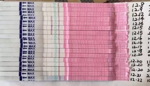 月经后几天是排卵期