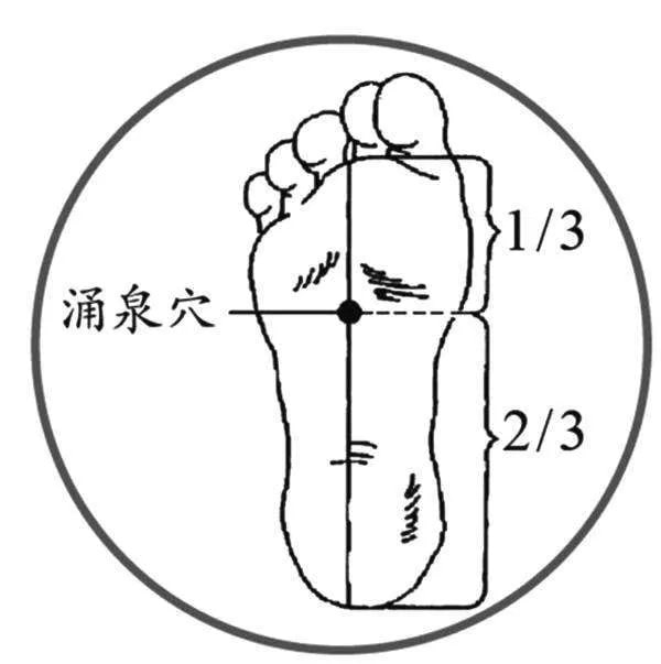 夏天吃什么降火