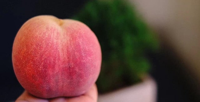 夏天吃什么水果补钾最快最好