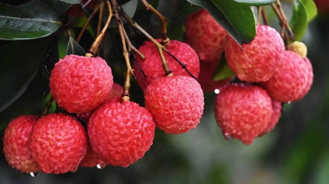 夏天吃什么水果补钾最快最好