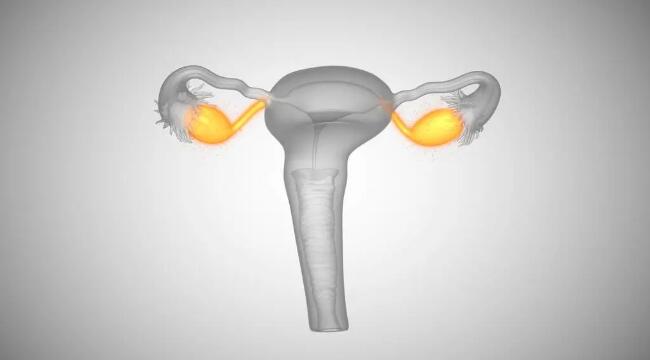 输卵管积水影响试管婴儿的成功率吗？