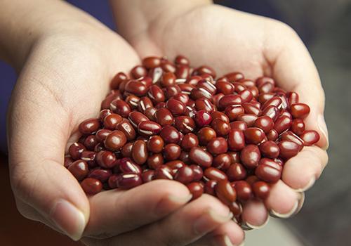 三伏天怎么调理身体