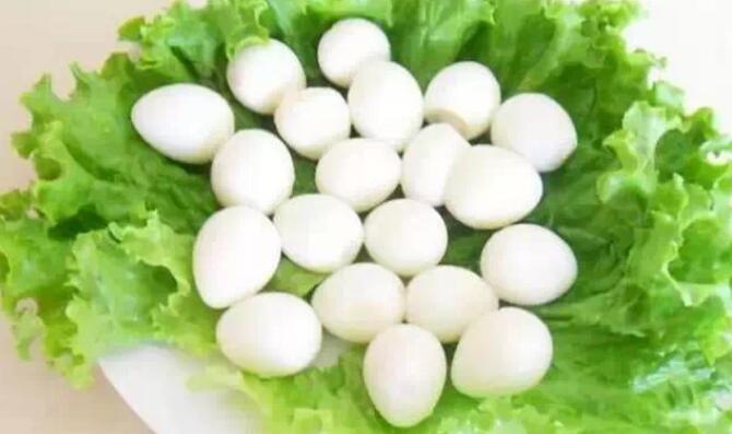 鹌鹑蛋的作用以及功能