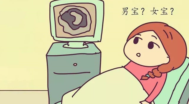怀男孩女孩的区别 怀男/女孩的特征