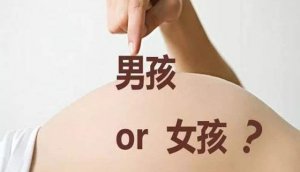 怀男孩女孩的区别 怀男/女孩的特征