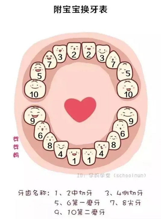 宝宝出牙，长牙顺序等常见知识