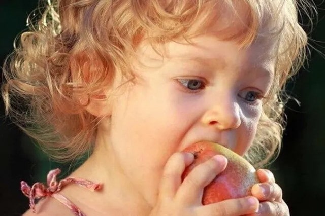 儿童早餐吃什么好 15道营养早餐搭配食谱