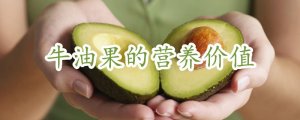 牛油果的营养价值