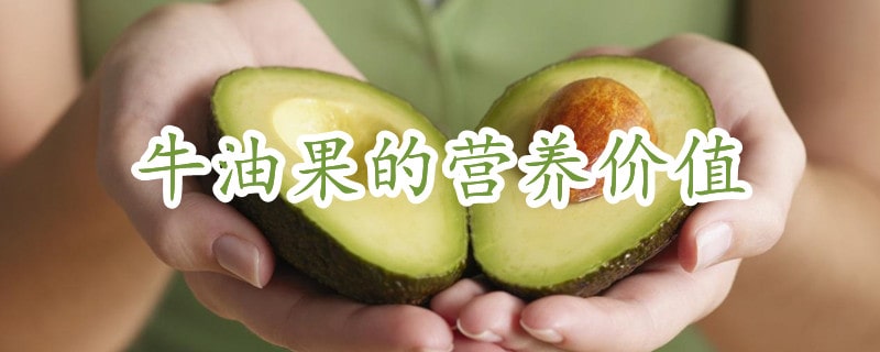 牛油果的营养价值