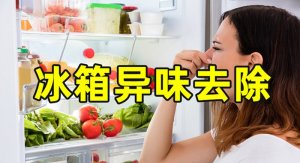 怎么去除冰箱异味 放这几个东西试试