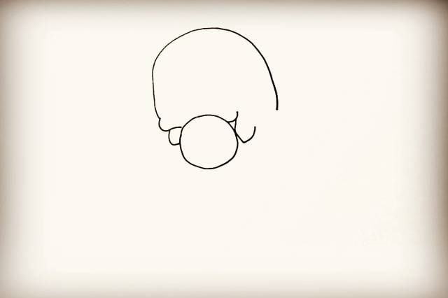 海洋生物海豚简笔画步骤图片