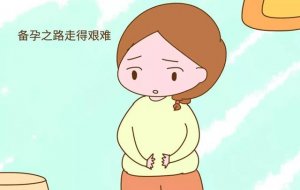 高龄备孕注意事项