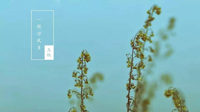 立秋养生该注意哪几点