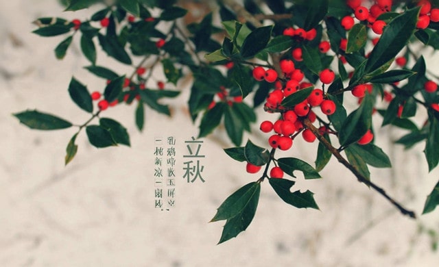 立秋养生该注意哪几点