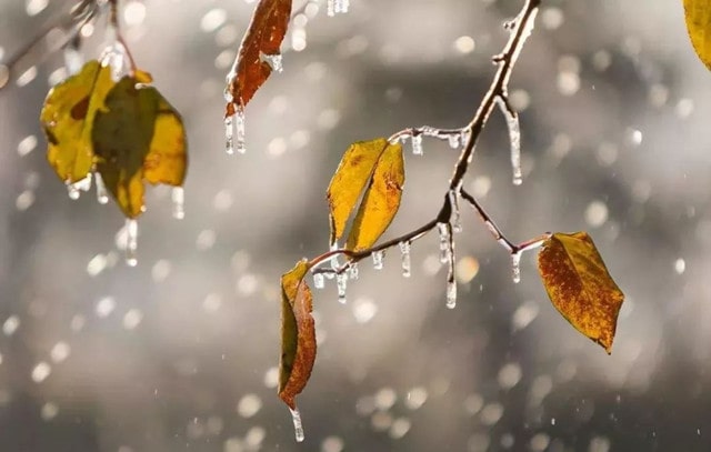 立秋养生该注意哪几点