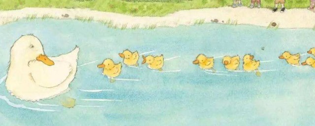 小鸭子游泳扩写句子