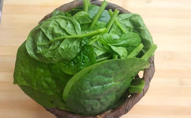 木耳菜的功效与作用及禁忌