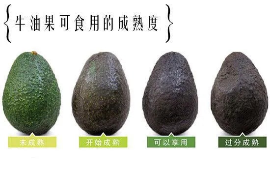 宝宝辅食牛油果怎么吃