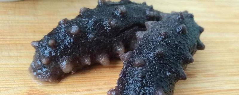 干海参如何泡发的正确方法