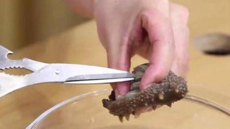 干海参如何泡发的正确方法