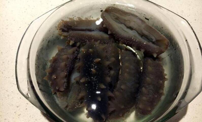 干海参如何泡发的正确方法