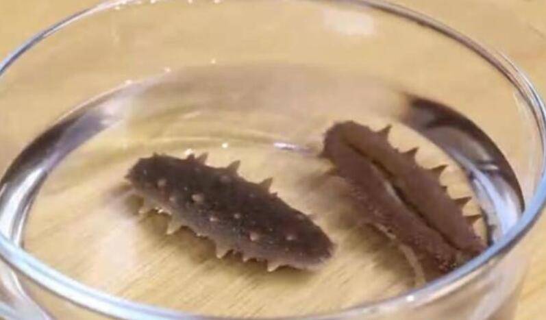 干海参如何泡发的正确方法