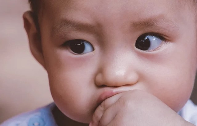 吃什么提高孩子记忆力和大脑功能？