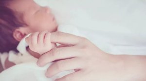 宝宝补充dha越多宝宝越聪明吗？