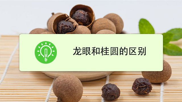 龙眼和桂圆的区别在哪里
