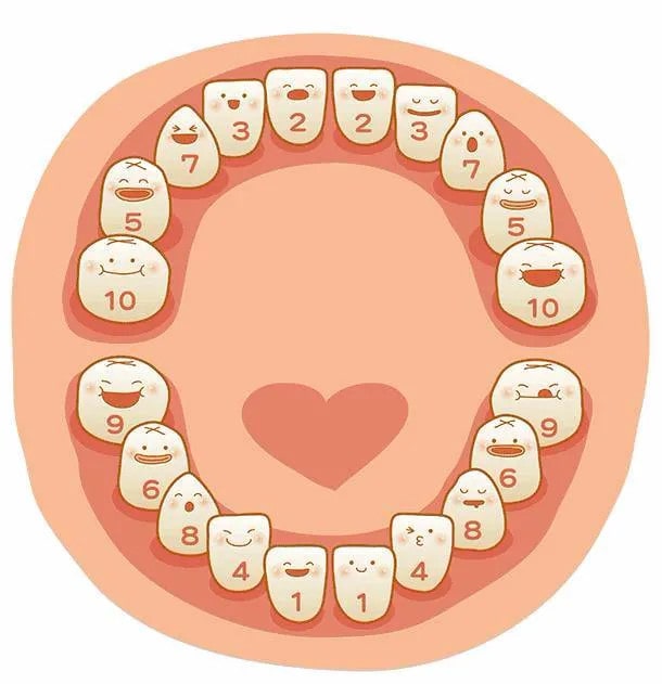 宝宝几个月长牙 婴儿出牙晚的原因