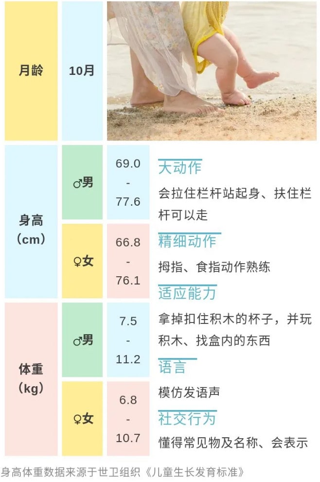 10个月宝宝发育指标参考