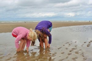 取自楚辞好听有诗意的女孩名字