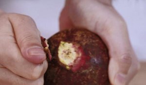 山竹怎么剥 用手剥山竹法