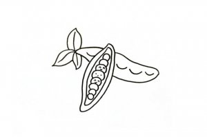 蔬菜豌豆简笔画怎么画简单的