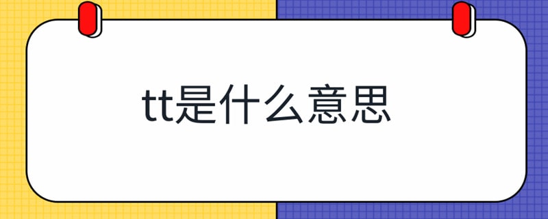 tt是什么意思