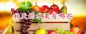 秋天的水果有哪些