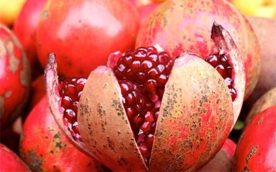 秋天的水果有哪些