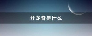 开龙脊是什么意思