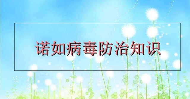 诺如病毒传播途径及预防措施