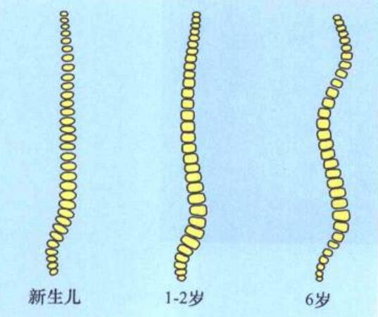 新生儿需要枕头吗