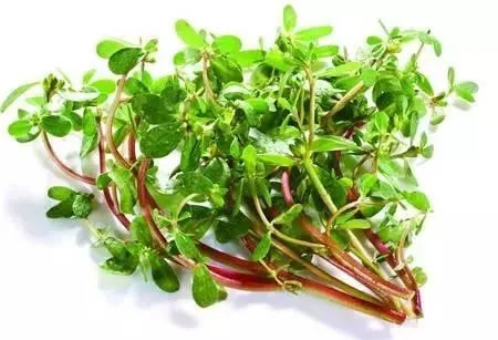 孕妇不能吃哪些食物清单