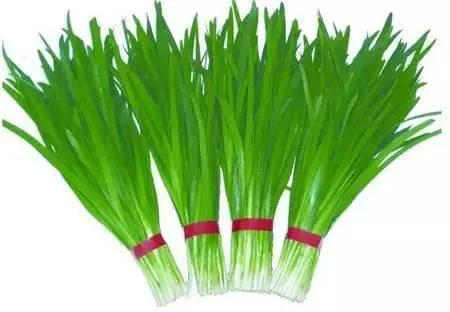 孕妇不能吃哪些食物清单