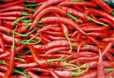 孕妇不能吃哪些食物清单