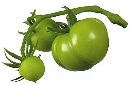 孕妇不能吃哪些食物清单