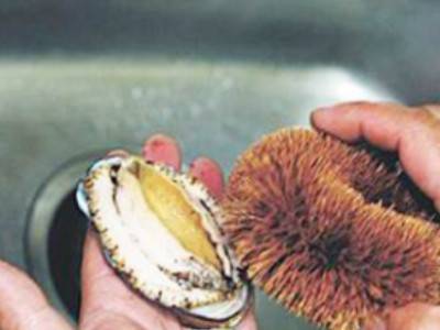 鲍鱼怎么杀和清洗