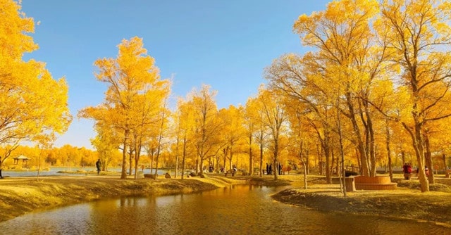 金秋九月作文600字