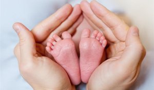 0-1岁婴儿生长发育参照表