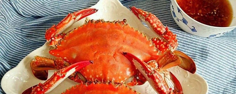 孕妇梭子蟹可以吃吗