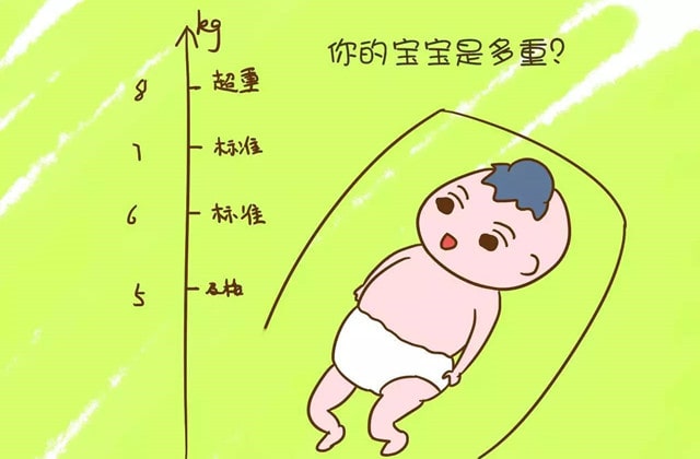 预估胎宝宝体重的方法
