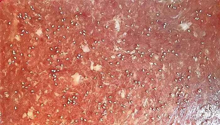 自制猪肉脯的做法 1岁宝宝食谱